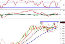 Technical Analysis for the Afternoon Session of December 24: Shaking at the October 2025 Peak