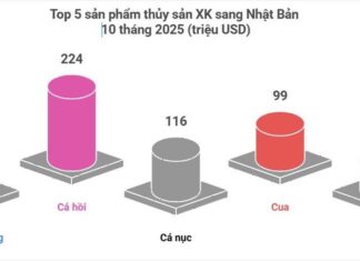 Japanese Consumers Tighten Belts, Yet Vietnamese Products Continue to Sell Out in the World’s Most Demanding Market