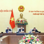 Unlocking Bottlenecks: Establishing Special Mechanisms for Critical Projects in the Capital