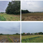 SGR and LCG Set to Complete 200-Hectare IT Park in Thai Nguyen by Q4 2028