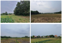 SGR and LCG Set to Complete 200-Hectare IT Park in Thai Nguyen by Q4 2028