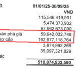 Chairman Ho Quoc Luc (FMC): Limited Capacity to Withstand High POR19 Tax Rates
