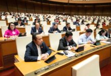 Unleashing Potential: Ho Chi Minh City’s Expanded Special Mechanisms Propel Its Rise as a Global Metropolis