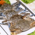 Vietnamese Product Captivates the U.S., with One Country Increasing Imports by Nearly 1,000%