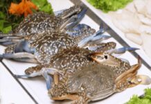 Vietnamese Product Captivates the U.S., with One Country Increasing Imports by Nearly 1,000%