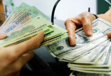 Mastering Forex Management at the International Financial Center: Strategies and Insights