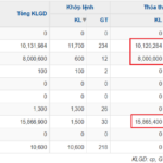 “Intense Share Transfers Shake Up DNP Holding”