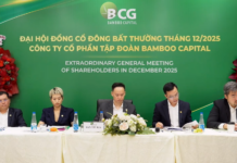 Chairman Andy: BCG Strives to Avoid Delisting Amid Projected Losses Until 2027