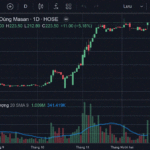 MCH Stock Hits All-Time High on First Day of HOSE Listing: Opportunities for Late Investors and MSN’s Valuation Recalibration