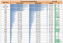 Top 10 Banks Control 70% of System Deposits: Surpassing BIDV, This Bank Leads in Attracting the Most Customer Deposits