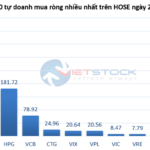 Tracking the Whale Money on December 25th: Proprietary Traders and Foreign Investors Net Buy Amid VN-Index’s Sharp Decline