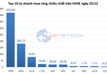 Tracking the Whale Money on December 25th: Proprietary Traders and Foreign Investors Net Buy Amid VN-Index’s Sharp Decline