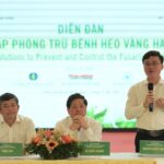 Bananas Poised to Join the Billion-Dollar Export Club: Early Forecasts Reveal Promising Growth