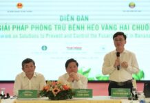 Bananas Poised to Join the Billion-Dollar Export Club: Early Forecasts Reveal Promising Growth