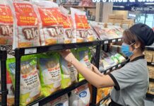 Overcoming Challenges in Rice Exports: A Resilient Push Forward