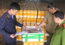 Unveiling the Shocking Truth: How Formaldehyde-Laced Fish from China is Resold at Sky-High Prices in Sam Son Beach