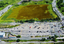 Ho Chi Minh City’s New Land Price List: Agricultural Land Prices Expected to Surge