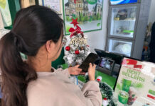 Is the Era of Concealing Revenue Through Complex Bank Account Schemes Coming to an End?