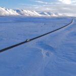 “Has Khoai Lang Thang Really Reached This Level?”