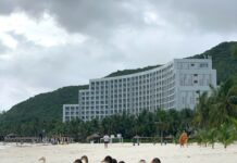 “17 Ducks Swept into Pham Nhat Vuong’s Vinpearl Nha Trang Resort: Naming Contest Launched with 17 Ticket Pair Prizes”