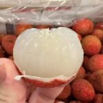 Australian Lychees Fetch Nearly $200 per 5kg Box in Vietnam