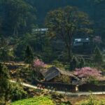 Sizzling Alert: Booking Hotels During Tet Holiday