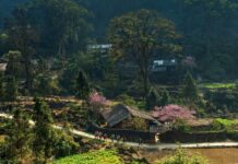 Sizzling Alert: Booking Hotels During Tet Holiday