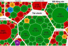 Vingroup Stocks Plummet, VN-Index Surges Past 1,700 Points on December 19th