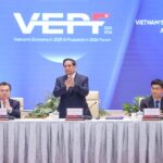 Prime Minister Pham Minh Chinh Participates in VEPF High-Level Plenary Session