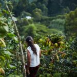 “Golden Brown” Boom in Key BRICS Nation: 81% Surge Threatens Vietnam’s Top Global Dominance