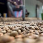 Vietnam’s Billion-Dollar Specialty Crop Surges as Chinese Buyers Pay Premium Prices, Propelling Exports Far Ahead of Global Competitors