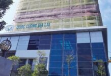 The Background of Two Special Companies Sold by Quoc Cuong Gia Lai to Settle a Trillion-Dong Debt to Truong My Lan