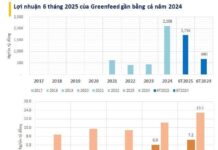 Agribusiness Giant Reports Staggering $70M Profit in H1 2025, Outpacing Hoa Phat and Dabaco by Nearly Double