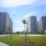 Exciting News for Social Housing Seekers