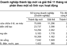 Over 5,000 New Real Estate Businesses Established in the First 11 Months of 2025