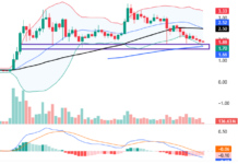 December 2025 Crypto Report (Part 2): Mixed Signals Emerge