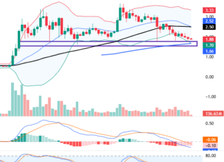 December 2025 Crypto Report (Part 2): Mixed Signals Emerge