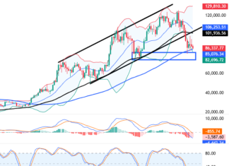 December 2025 Cryptocurrency Report (Part 1): Short-Term Outlook Continues to Deteriorate