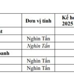 Cà Mau Fertilizer Adjusts Plan After Surpassing 200% Profit Target in 9 Months