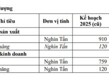 Cà Mau Fertilizer Adjusts Plan After Surpassing 200% Profit Target in 9 Months