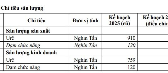 Cà Mau Fertilizer Adjusts Plan After Surpassing 200% Profit Target in 9 Months