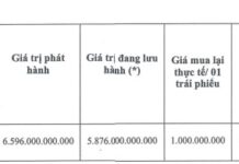 HAGL Welcomes New Creditor: Ministry of Finance’s Debt Trading Company