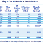 What to Watch in VHC, BCM, and HHV?