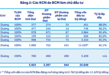 What to Watch in VHC, BCM, and HHV?