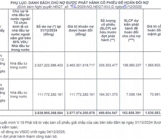 NVL Finalizes Issuance of Nearly 164 Million Shares to Settle Debt with Company Affiliated to Mr. Bui Thanh Nhon
