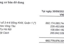 Novaland Subsidiary Emerges as Major Shareholder in Vietnam Fisheries Corporation
