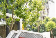 Techcombank: Mastering the Art of Transformation Through Unrelenting Innovation in Banking