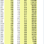 VNM ETF Adds New IPO Stock, Sells Off VIC in Q4 Review