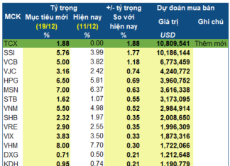 VNM ETF Adds New IPO Stock, Sells Off VIC in Q4 Review