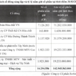 Vinachem Secures Over 101 Billion VND by Fully Divesting from SOFAVI via Auction